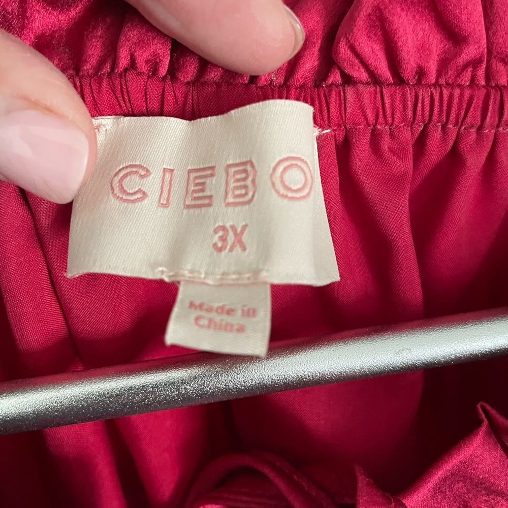 Ciebon Fuchsia Mini Dress with Tassel Accents - Picture 8 of 10